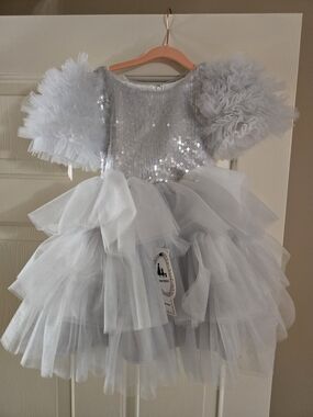 Silver Sequin Tulle Princess Dress Toddler Size 2T